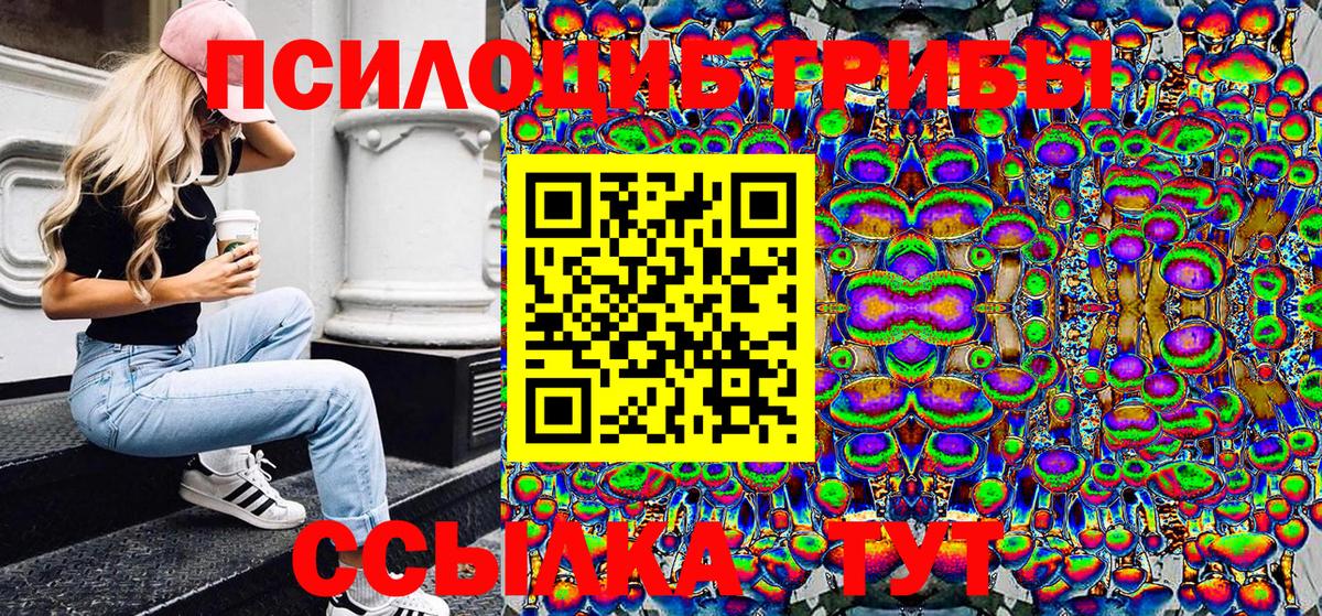 Псилоцибиновые грибы Magic Shrooms  Вход с VPN  как найти   Рассказово 